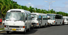 Tours & Transportation